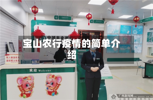 宝山农行疫情的简单介绍