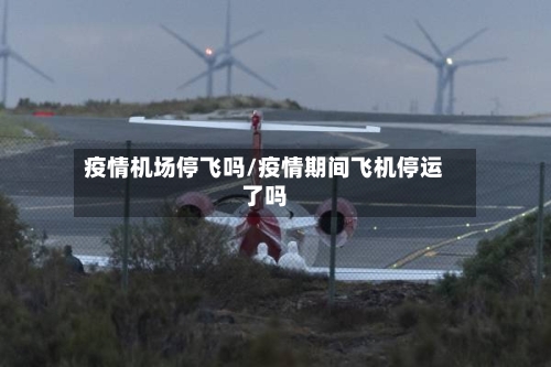 疫情机场停飞吗/疫情期间飞机停运了吗