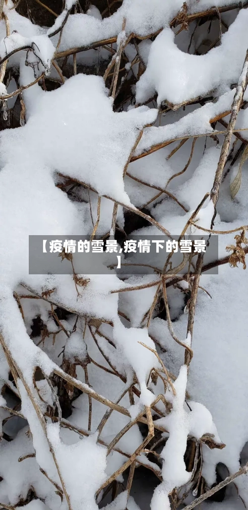 【疫情的雪景,疫情下的雪景】