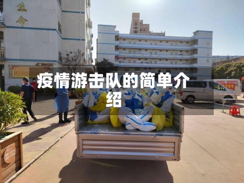 疫情游击队的简单介绍