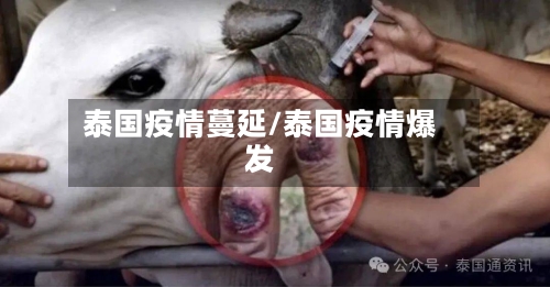 泰国疫情蔓延/泰国疫情爆发
